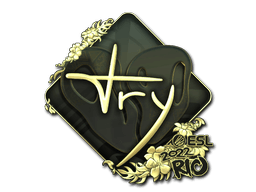 Rio 2022TRY (Gold)