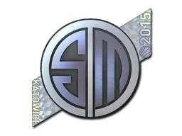 Katowice 2015TSM Kinguin (Holo)