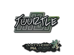 Antwerp 2022Tuurtle