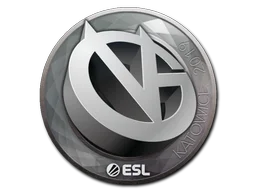 Katowice 2019ViCi Gaming