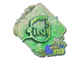 Rio 2022VINI (Holo)