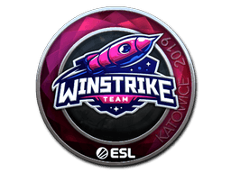 Katowice 2019Winstrike Team (Foil)