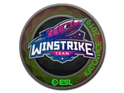 Katowice 2019Winstrike Team (Holo)
