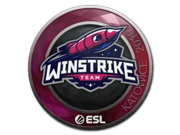 Katowice 2019Winstrike Team