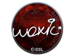 Katowice 2019woxic (Foil)