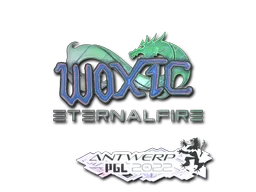 Antwerp 2022woxic (Holo)