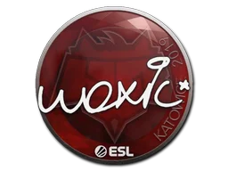 Katowice 2019woxic