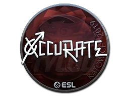 Katowice 2019xccurate (Foil)