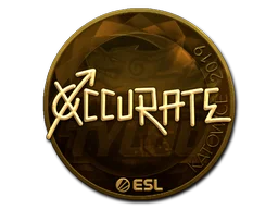 Katowice 2019xccurate (Gold)