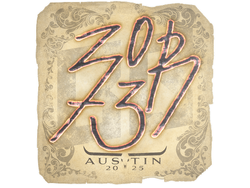 Austin 2025zorte
