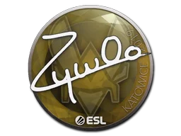 Katowice 2019ZywOo