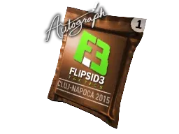 Cluj-Napoca 2015Flipsid3 Tactics