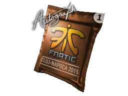 Cluj-Napoca 2015Fnatic