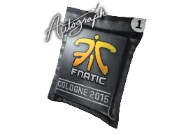 Cologne 2015Fnatic