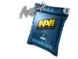 Cologne 2016Natus Vincere