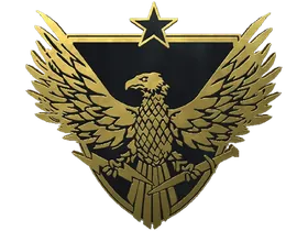 PinBrigadier General