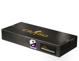 DreamHack 2014Cobblestone