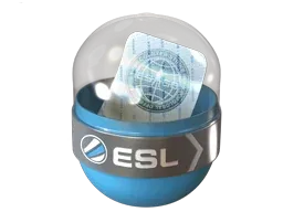 EMS Katowice 2014Challengers