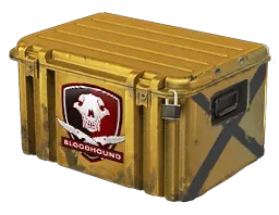 Weapon CaseFalchion Case