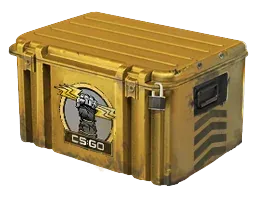 Weapon CaseGlove Case