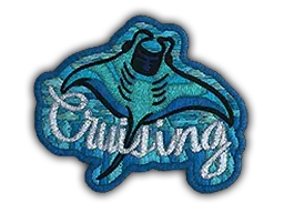 PatchCruising Ray