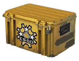 Weapon CaseRevolver Case