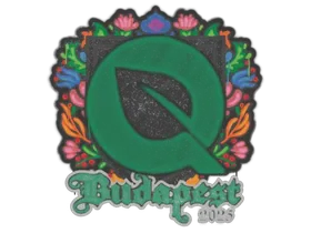 Budapest 2025FlyQuest