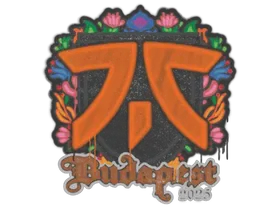 Budapest 2025fnatic