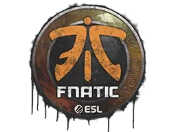 Katowice 2019Fnatic