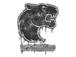 Copenhagen 2024FURIA