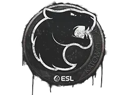 Katowice 2019FURIA