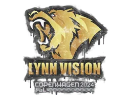 Copenhagen 2024Lynn Vision