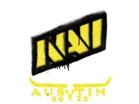 Austin 2025Natus Vincere