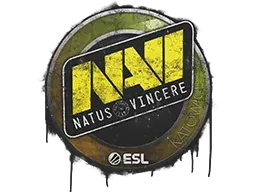 Katowice 2019Natus Vincere