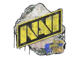 Rio 2022Natus Vincere