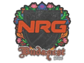 Budapest 2025NRG