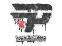 Copenhagen 2024paiN Gaming