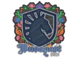 Budapest 2025Team Liquid