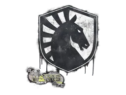 Paris 2023Team Liquid