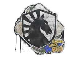 Rio 2022Team Liquid