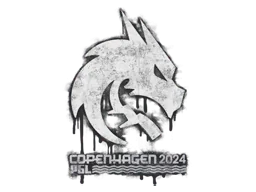 Copenhagen 2024Team Spirit