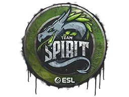 Katowice 2019Team Spirit