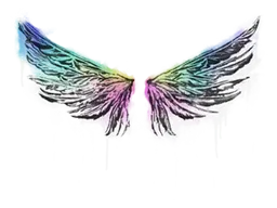 GraffitiWings