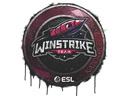 Katowice 2019Winstrike Team