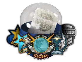 Sticker CapsuleSkill Groups