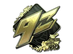 Rio 20229z Team (Gold)