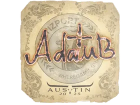 Austin 2025adamb