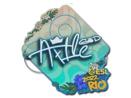 Rio 2022Ax1Le