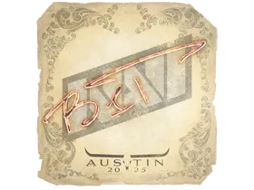 Austin 2025b1t