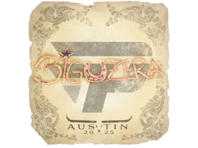 Austin 2025biguzera